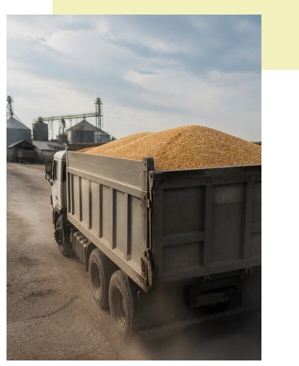 Перевозка сельхозпродукции навалом в Изобильный по цене от 3116 р. | Агросервис-Збл